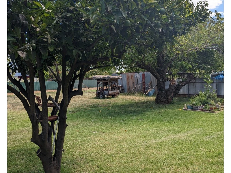 32 Gobondery Street, Trundle NSW 2875