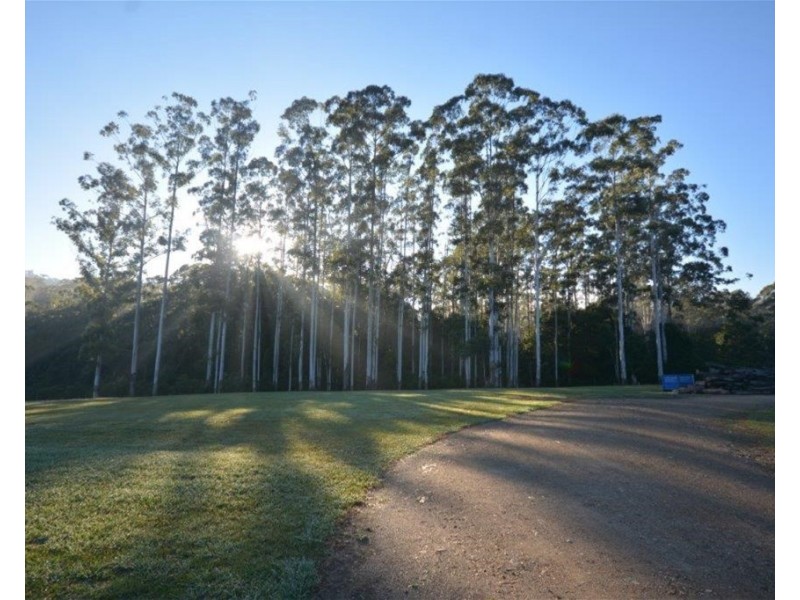 1028 East Bank Road, Nana Glen NSW 2450