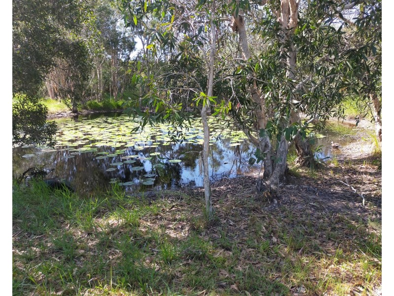 41 Jarvey Dr, Agnes Water QLD 4677