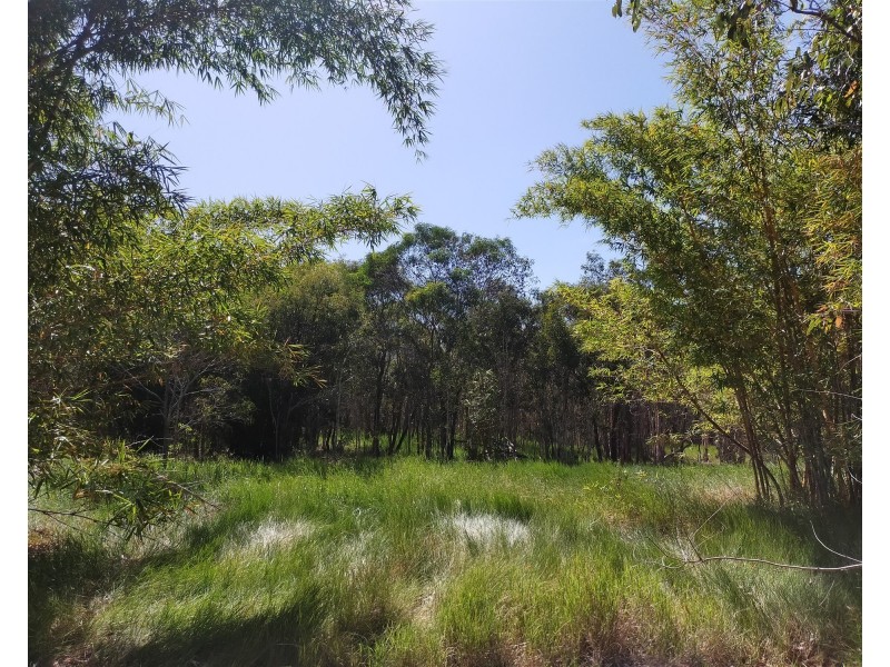 41 Jarvey Dr, Agnes Water QLD 4677