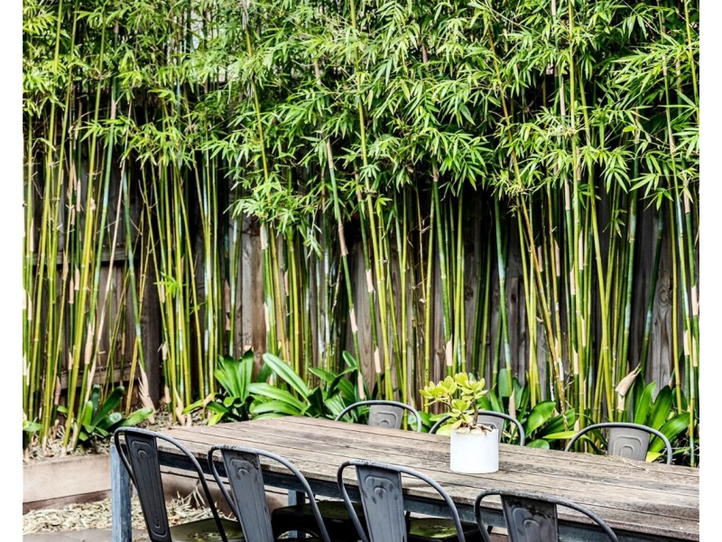 9 Chomley Street, Prahran VIC 3181