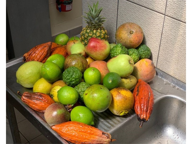 250 Cedar Park Road, Koah QLD 4881