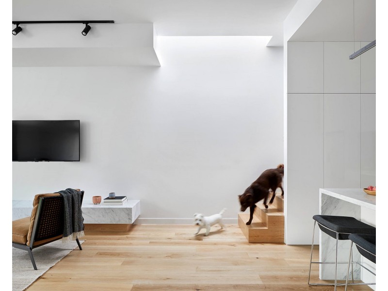 19 Clara Street, South Yarra VIC 3141