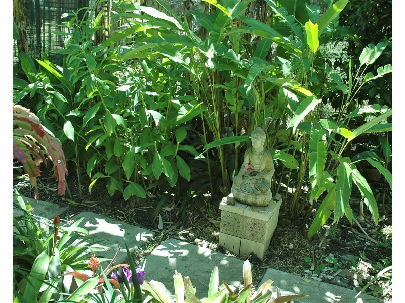 20  Skyring Street, Bundaberg East QLD 4670