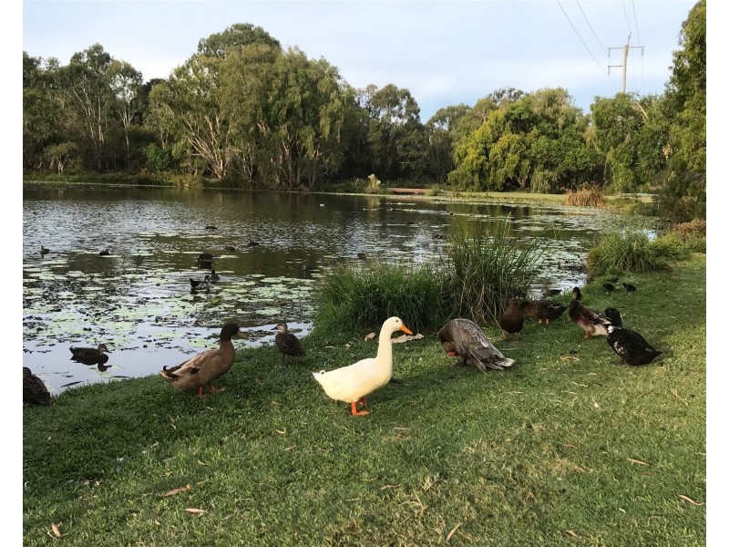 20  Skyring Street, Bundaberg East QLD 4670