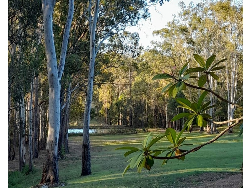 503 Lowe Road, Bollier QLD 4570