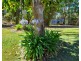 503 Lowe Road, Bollier QLD 4570