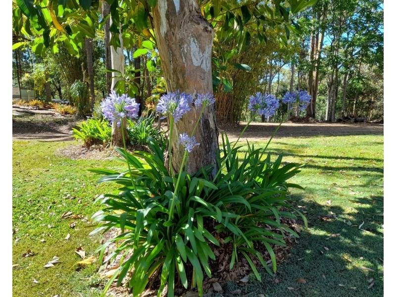 503 Lowe Road, Bollier QLD 4570