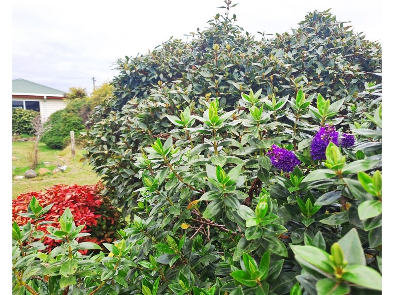 7 Paterson Crescent, George Town TAS 7253