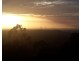 Tamborine Mountain QLD 4272