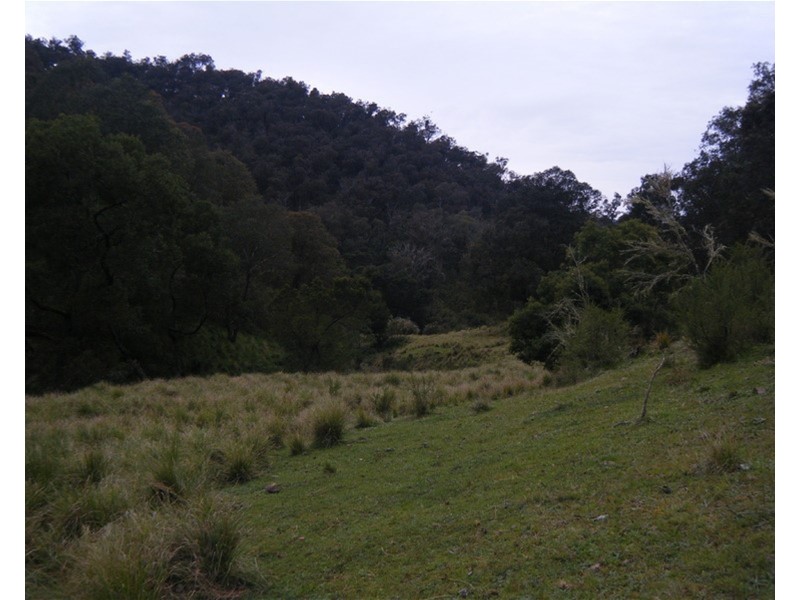 290 ashlin tk, Tabberabbera VIC 3875