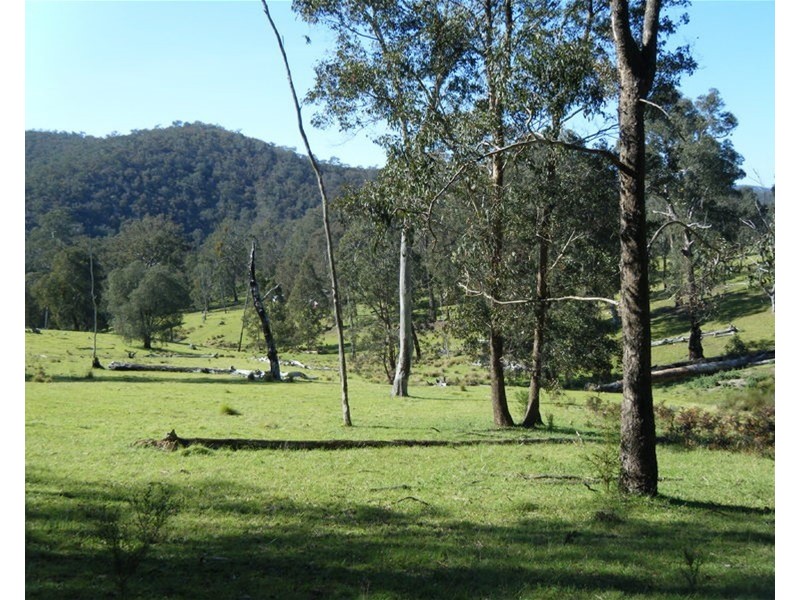 290 ashlin tk, Tabberabbera VIC 3875