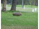 Kangaroo Valley NSW 2577