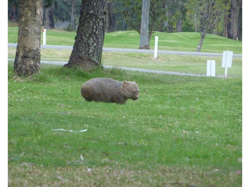 Kangaroo Valley NSW 2577
