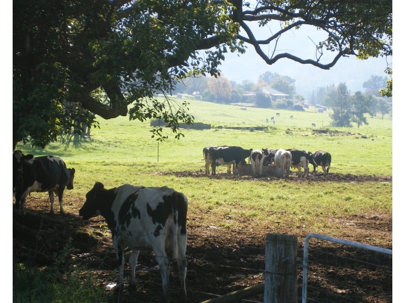 Kangaroo Valley NSW 2577