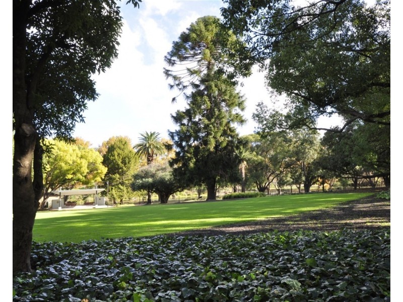 21/7 Vincent St, Mount Lawley WA 6050