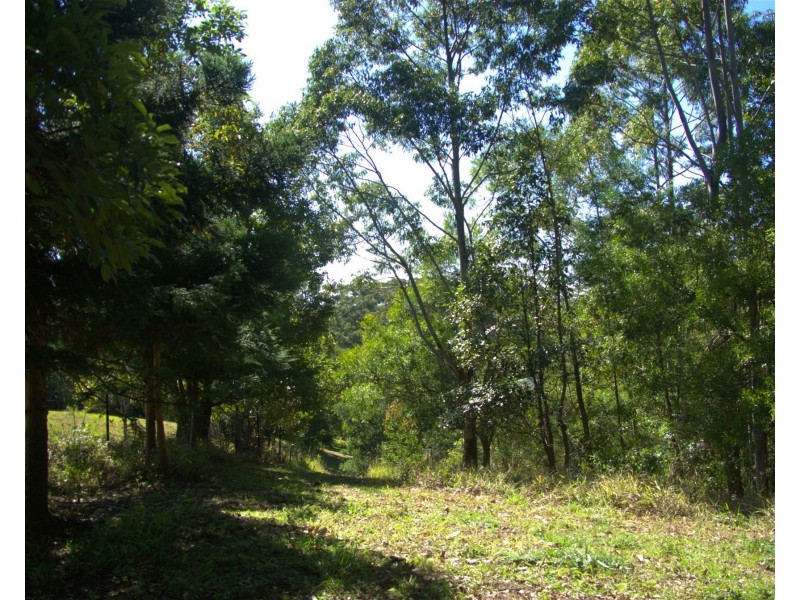 5  Scotts road, Wootha QLD 4552