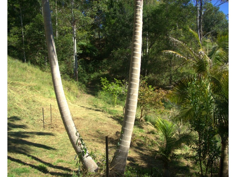 5  Scotts road, Wootha QLD 4552