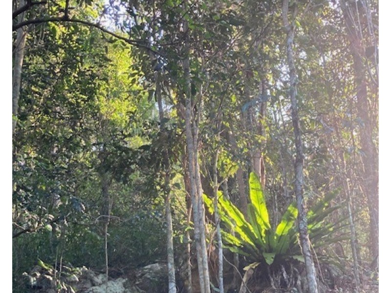 918 Upper Brookfield Road, Upper Brookfield QLD 4069