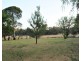 685 Stanwix Place, Wooroloo WA 6558