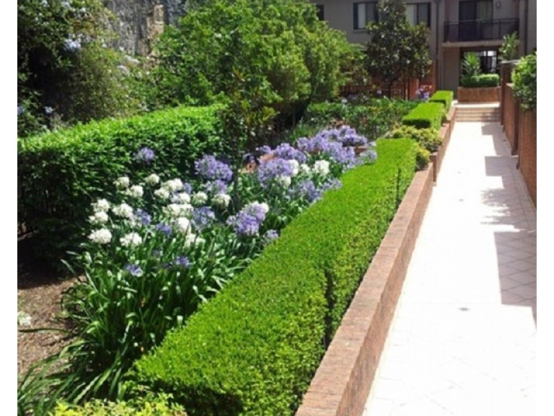 9/36-50 Taylor  Street, Annandale NSW 2038