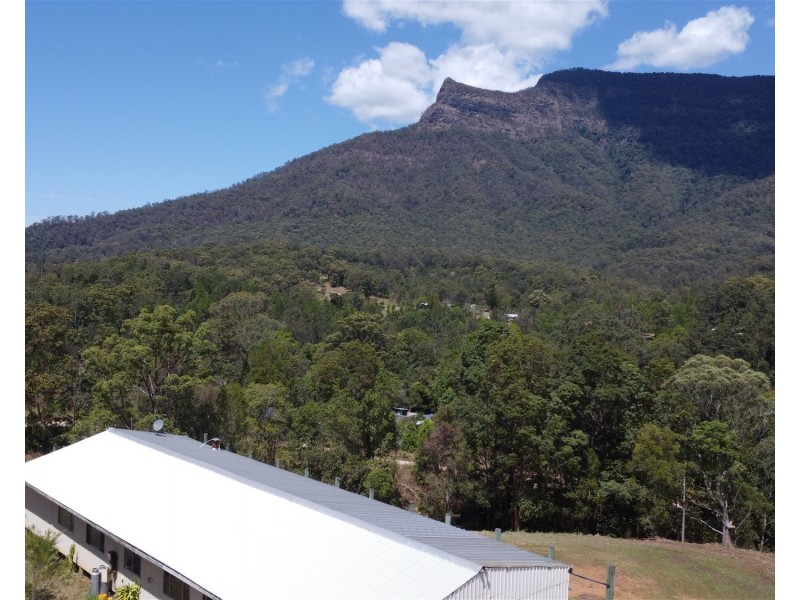 Lot 16/234 Everinghams Road, Pumpenbil NSW 2484