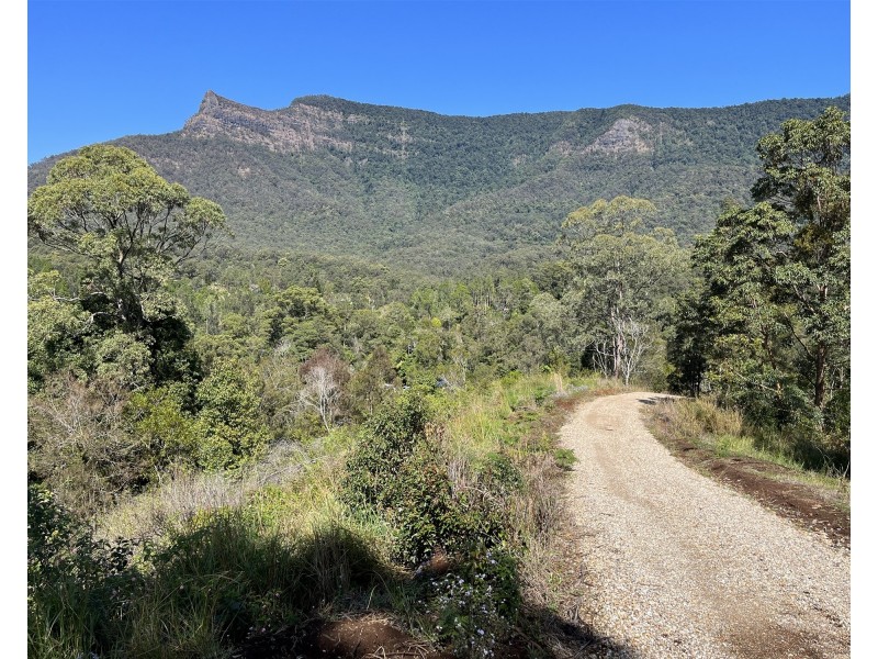 Lot 16/234 Everinghams Road, Pumpenbil NSW 2484