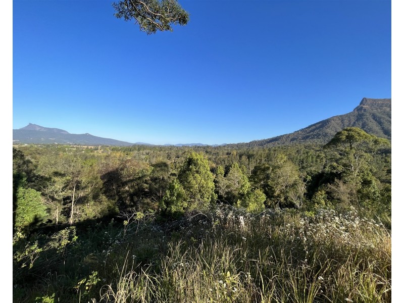 Lot 16/234 Everinghams Road, Pumpenbil NSW 2484