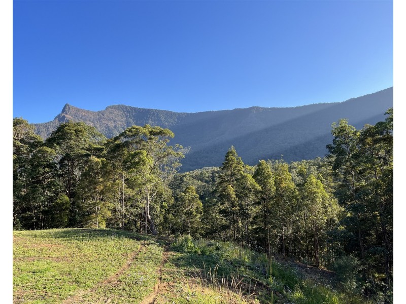 Lot 16/234 Everinghams Road, Pumpenbil NSW 2484