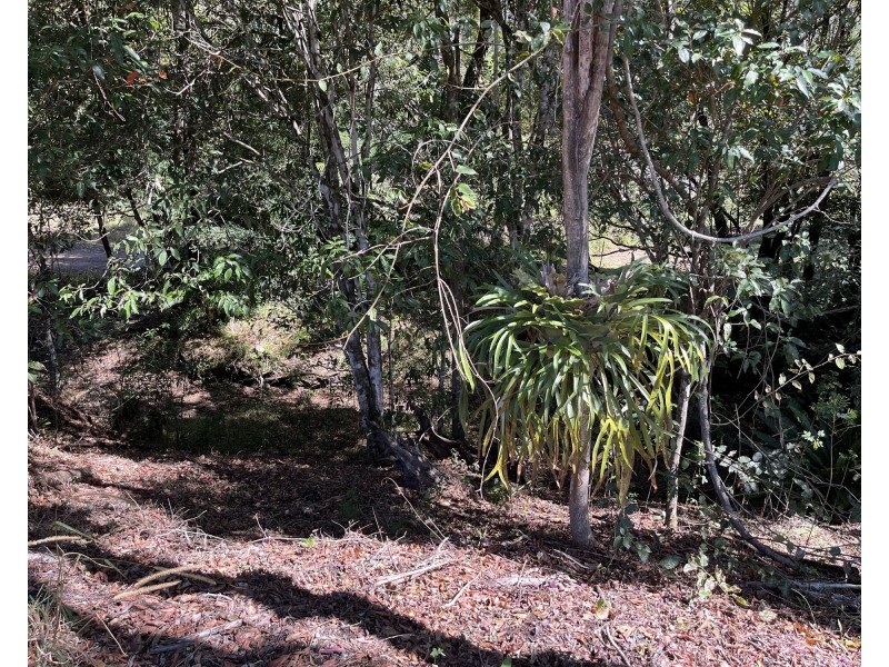 Lot 16/234 Everinghams Road, Pumpenbil NSW 2484