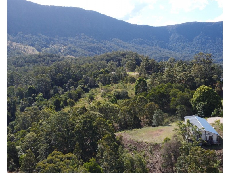 Lot 16/234 Everinghams Road, Pumpenbil NSW 2484