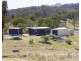 Balala NSW 2358
