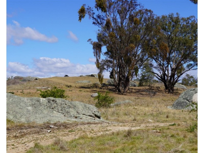 Balala NSW 2358