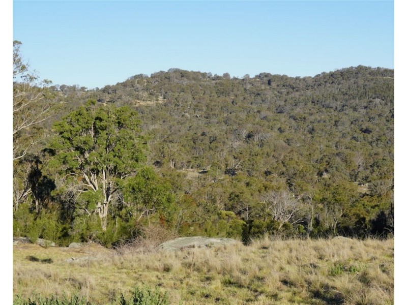 Balala NSW 2358