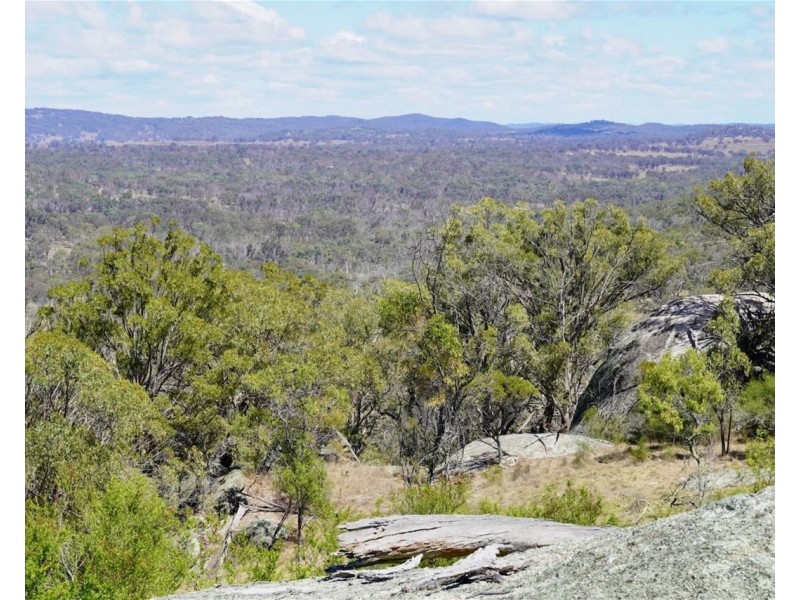 Balala NSW 2358
