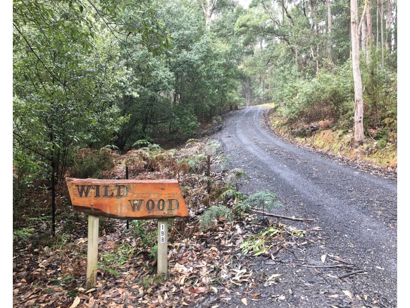 198 Whitehills Road, Penguin TAS 7316