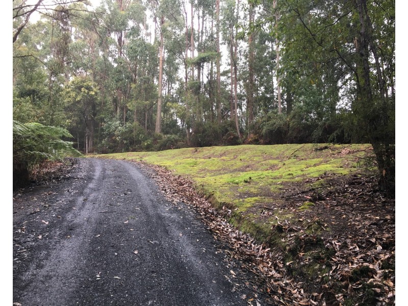198 Whitehills Road, Penguin TAS 7316