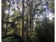198 Whitehills Road, Penguin TAS 7316