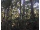 198 Whitehills Road, Penguin TAS 7316