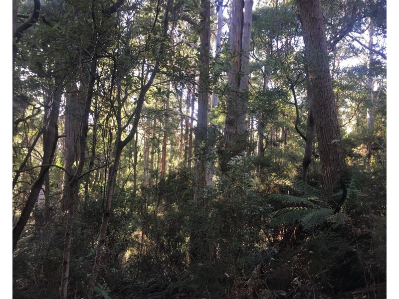 198 Whitehills Road, Penguin TAS 7316