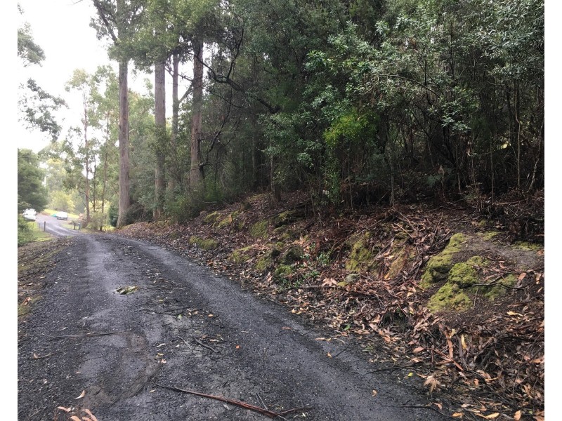 198 Whitehills Road, Penguin TAS 7316