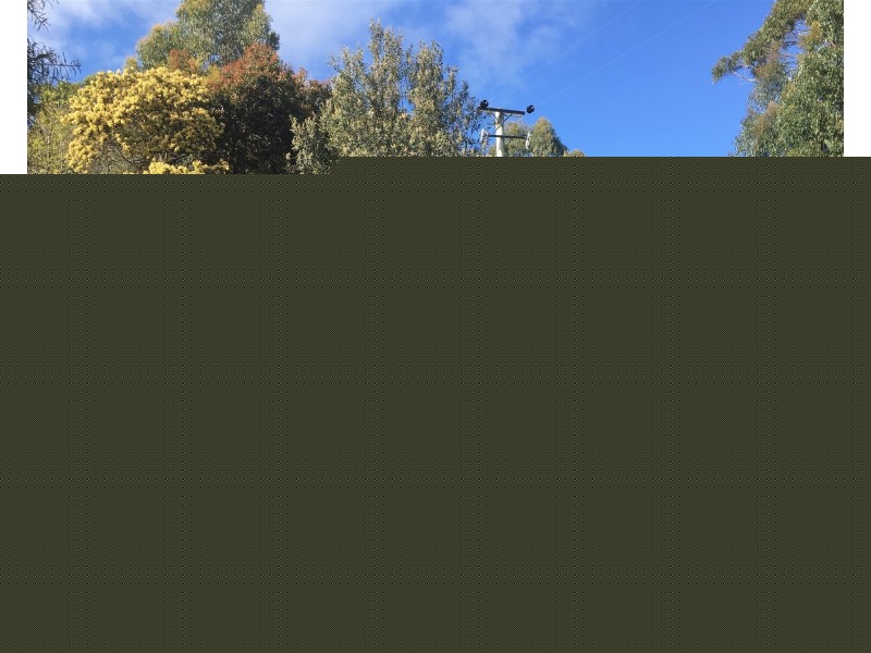 198 Whitehills Road, Penguin TAS 7316