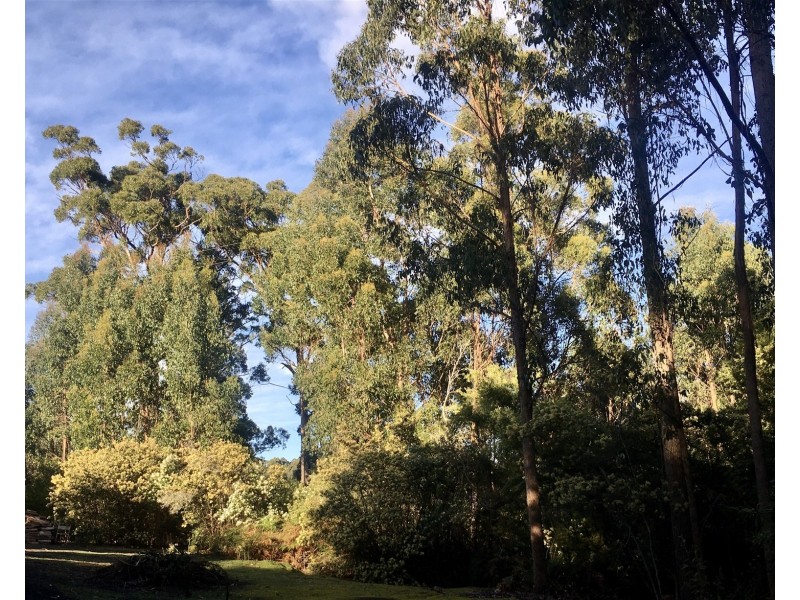 198 Whitehills Road, Penguin TAS 7316