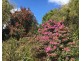 198 Whitehills Road, Penguin TAS 7316