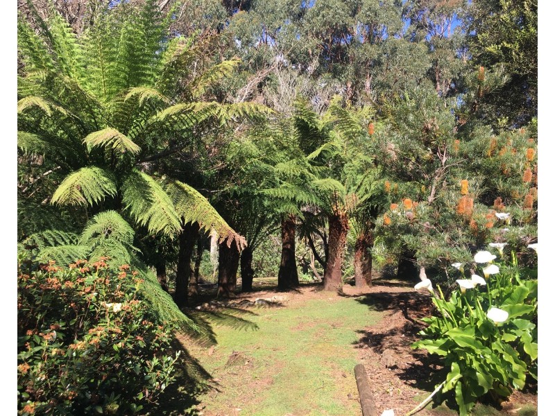 198 Whitehills Road, Penguin TAS 7316