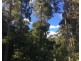 198 Whitehills Road, Penguin TAS 7316