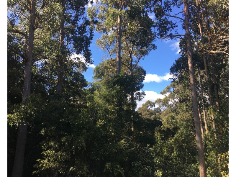 198 Whitehills Road, Penguin TAS 7316