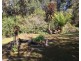 198 Whitehills Road, Penguin TAS 7316