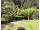 198 Whitehills Road, Penguin TAS 7316