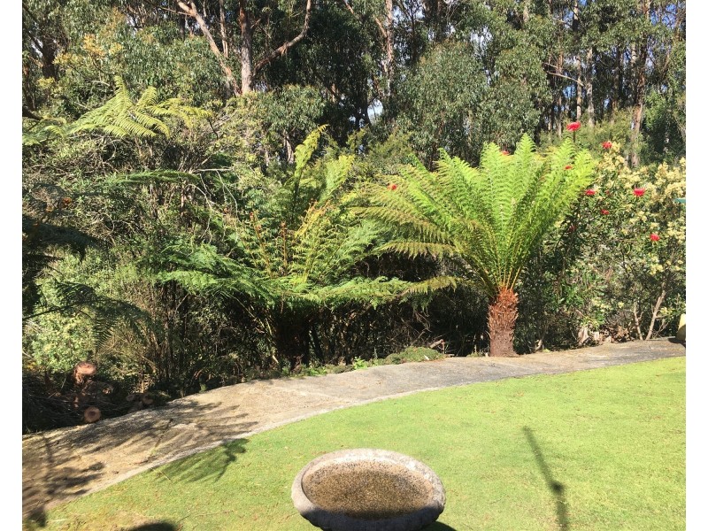 198 Whitehills Road, Penguin TAS 7316
